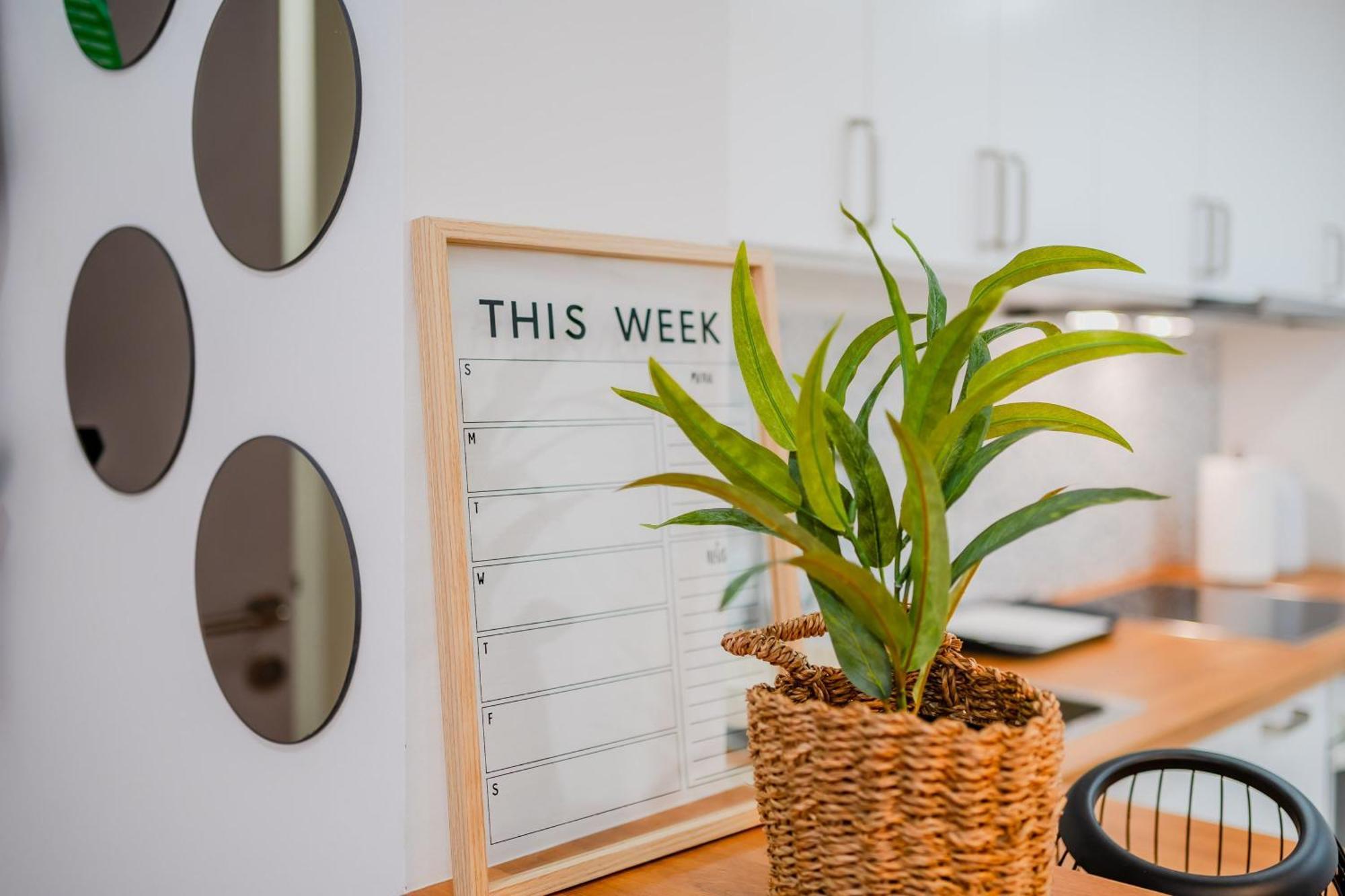Peaceful Nest In City Center - Happy Rentals ザグレブ エクステリア 写真